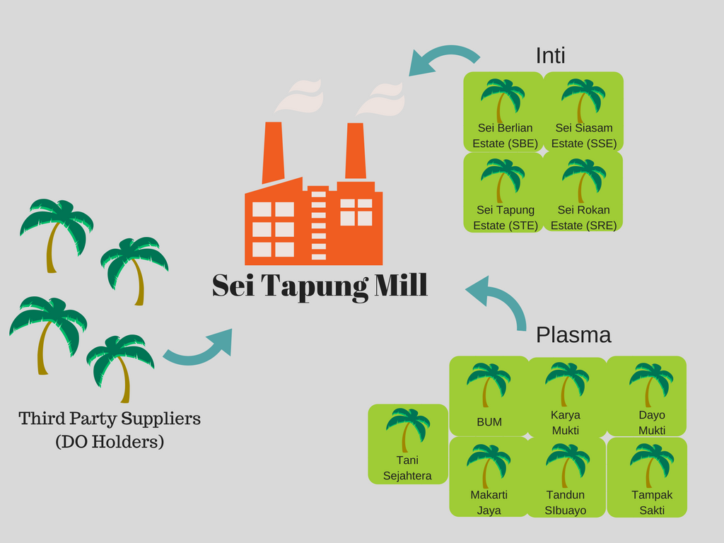 <p>Illustration of Sei Tapung Mill’s FFB Supplies.</p>
